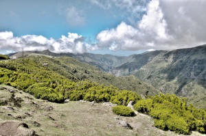 Madeira 2014